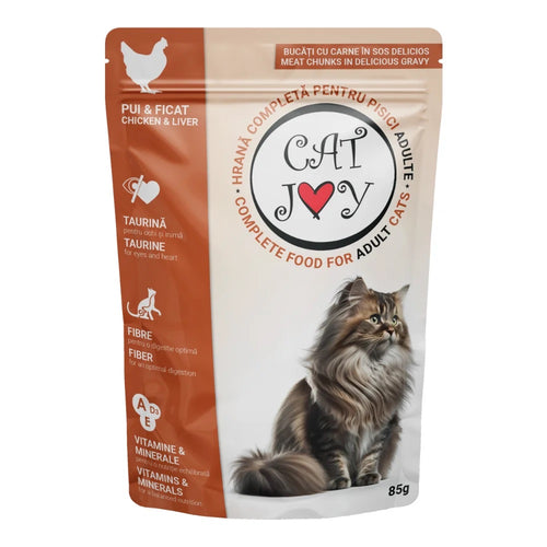 Cat Joy Pouch with Gravy 85g