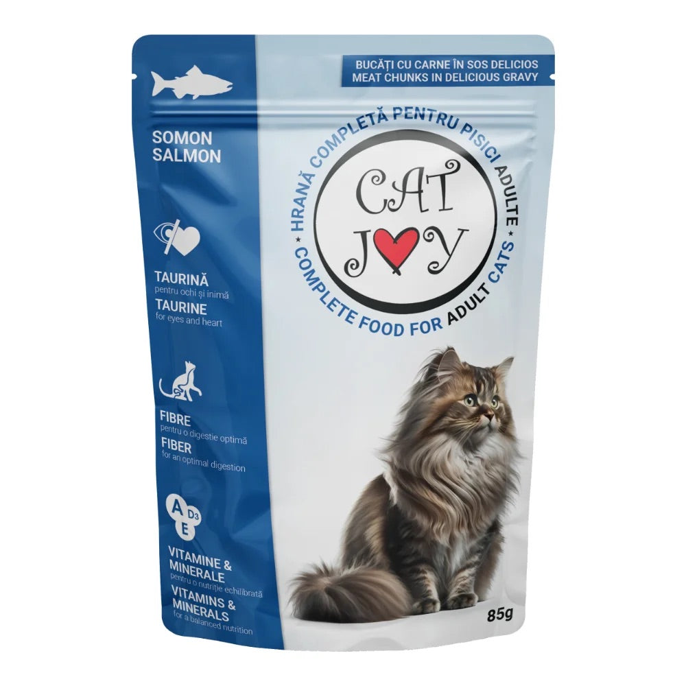 Cat Joy Pouch with Gravy 85g